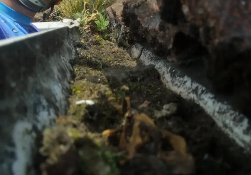 Gutter Cleaning