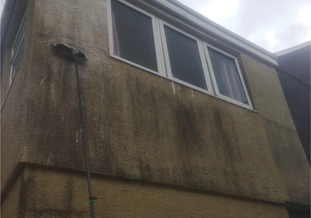 Expert Render Cleaning