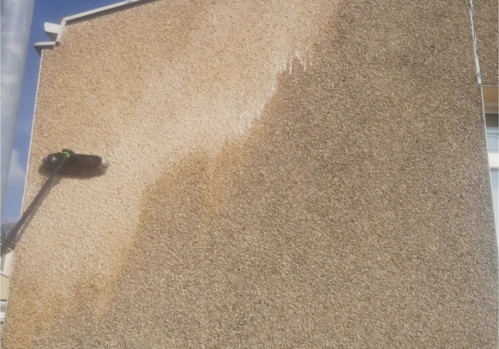 Professional Render Cleaning